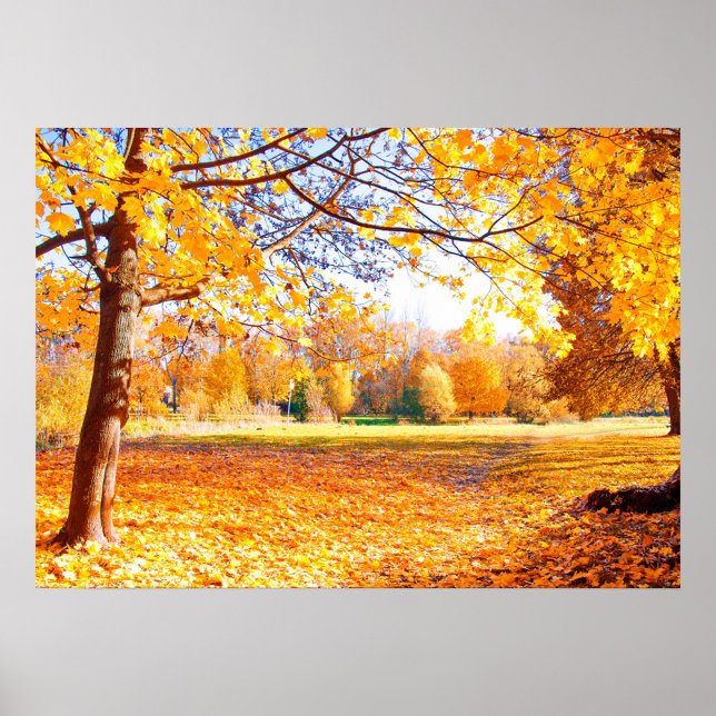 Autumn Season Poster (A vibrant autumn landscape filled with golden leaves and trees. )