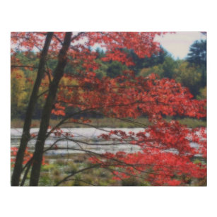 Autumn Secluded Marsh  Faux Canvas Print