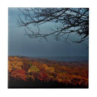 Autumn Shade Ceramic Tile