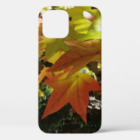 Autumn shades