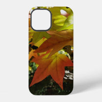 Autumn shades