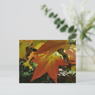 Autumn shades postcard