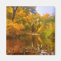 Autumn Shore