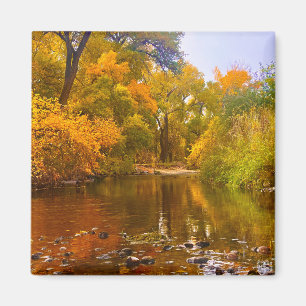 Autumn Shore Magnet