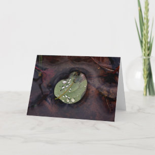 Autumn Silence Fall Leaf Photography Blank Card