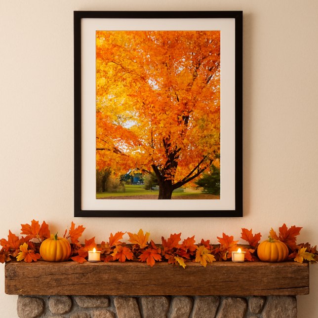Autumn Silver Maple Tree Photo Print Poster (Creator Uploaded)