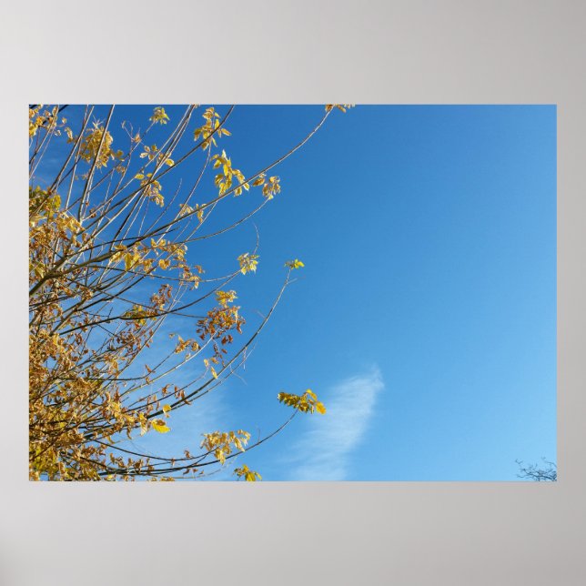 Autumn sky poster (Front)