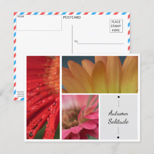 Autumn Solitude - Floral Water Droplets Postcard