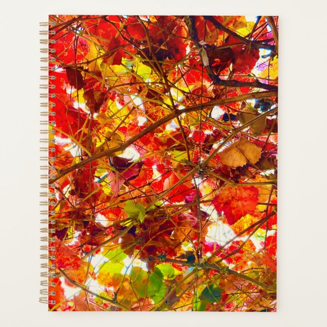 Autumn Spiral Planner (Front)