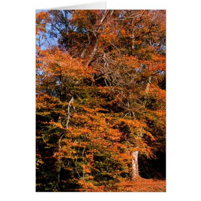 Autumn spirit card (Front)