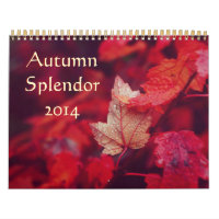 Autumn Splendour 2014