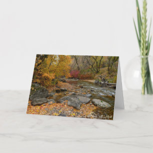 Autumn Splendour Card
