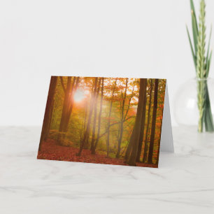 Autumn Splendour Card