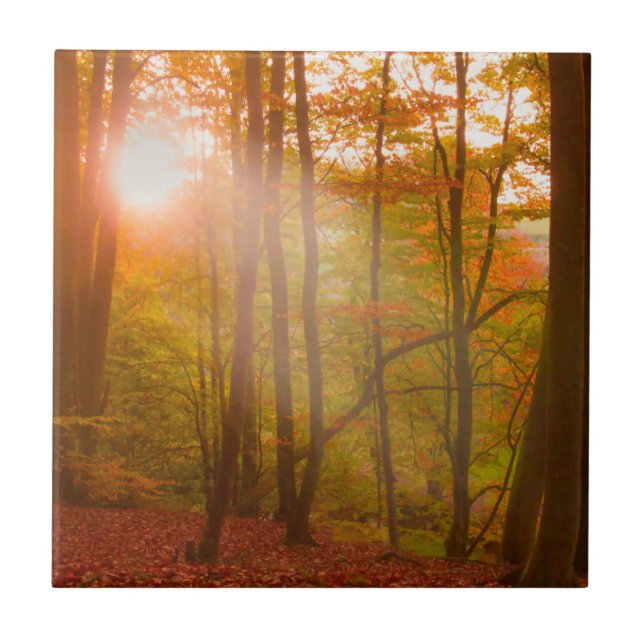 Autumn Splendour Ceramic Tile (Front)