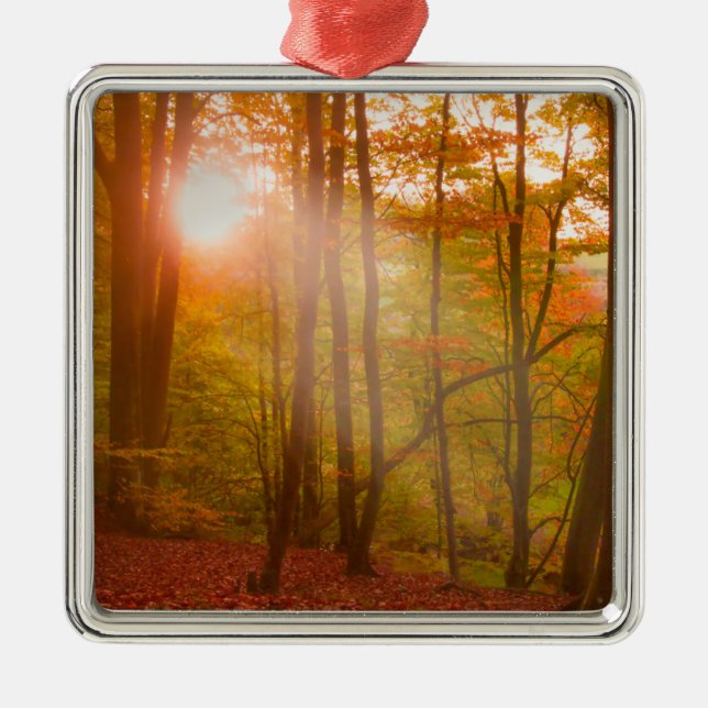 Autumn Splendour Metal Ornament (Front)