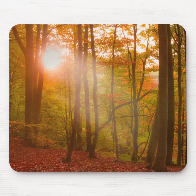 Autumn Splendour Mouse Pad (Front)