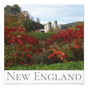 Autumn Splendour New England Fall Colours Photo Print