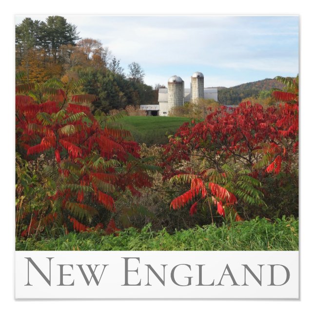 Autumn Splendour New England Fall Colours Photo Print (Front)