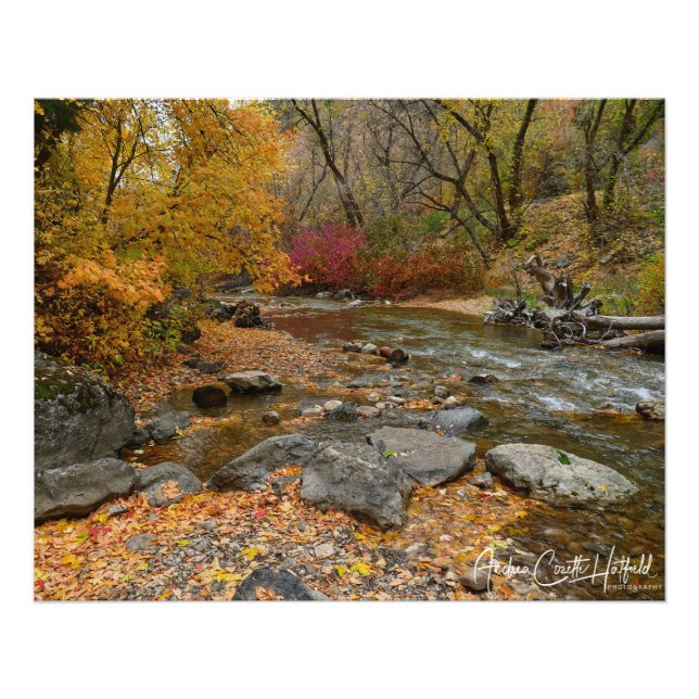 Autumn Splendour Photo Print (Front)
