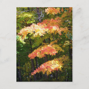 autumn splendour postcard