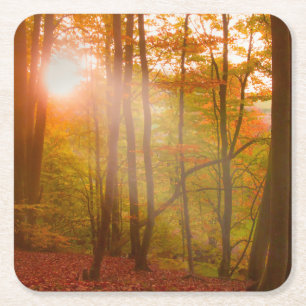 Autumn Splendour Square Paper Coaster