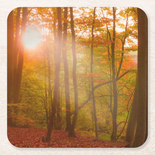 Autumn Splendour Square Paper Coaster (Front)