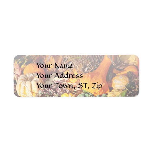Autumn - Squash - Feeling squashed Return Address Label (Front)