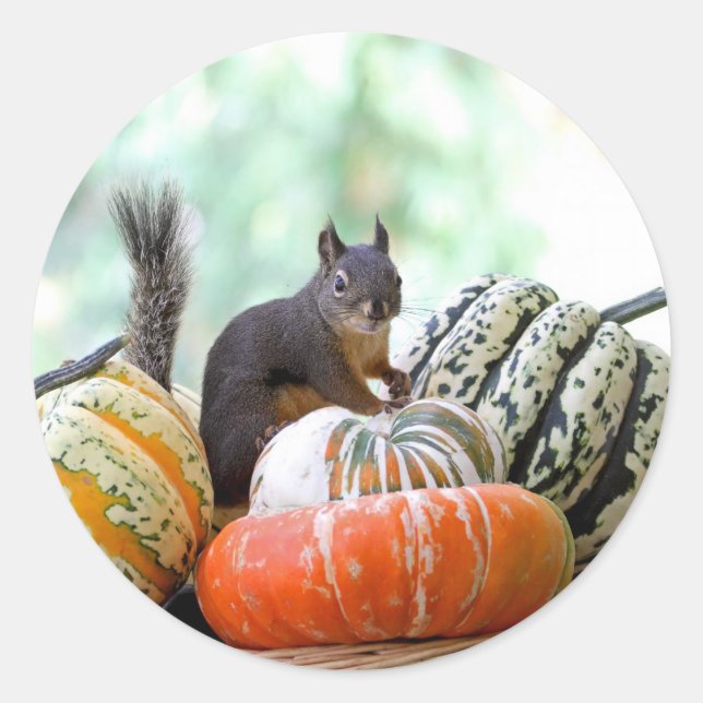 Autumn Squirrel Classic Round Sticker (Front)