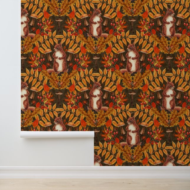 Autumn squirrel on dark brown wallpaper (Application)
