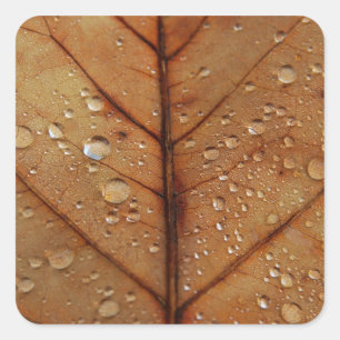 Autumn Sticker
