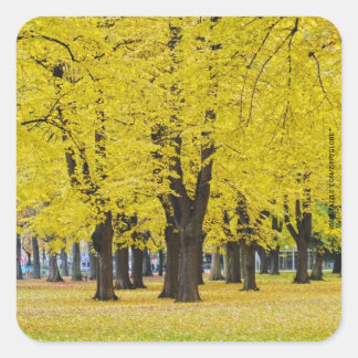 Autumn Sticker