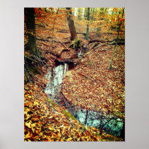 Autumn Stream