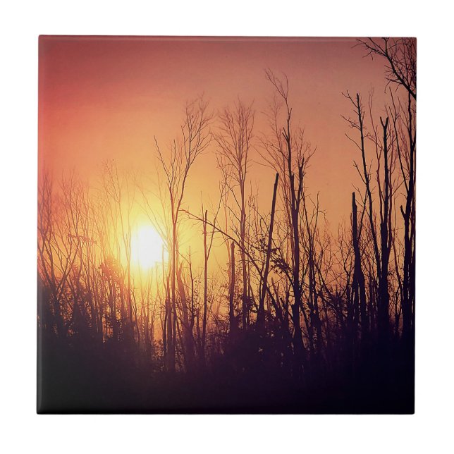  Autumn Sun Ceramic Tile (Front)