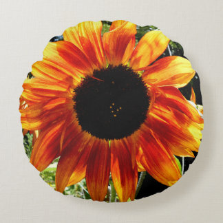 Autumn Sunflower Pillow