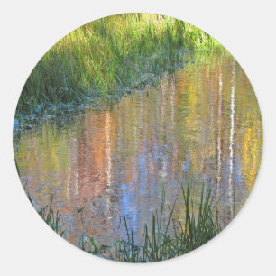 Autumn Swamp Reflections Classic Round Sticker