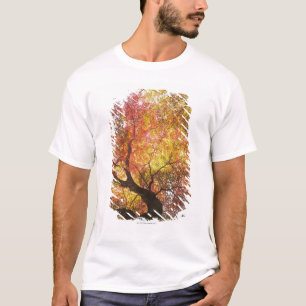 Autumn T-Shirt
