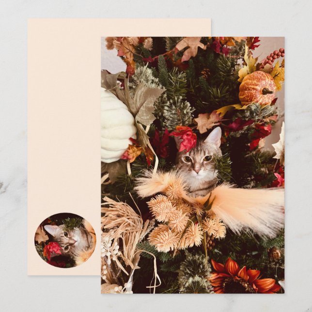 Autumn The Cat Poses for Fall Flat Card (Front/Back)
