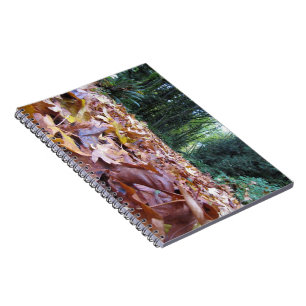 "Autumn Trail" Photo Notebook (80 Pages B&W)