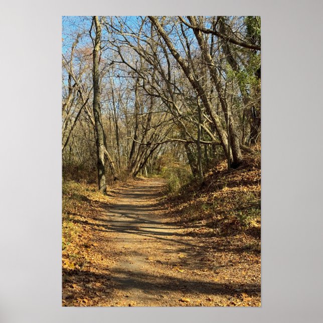 Autumn Trail Poster (Front)