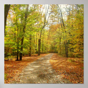 Autumn Trail Poster
