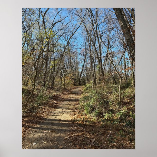 Autumn Trail Poster (Front)