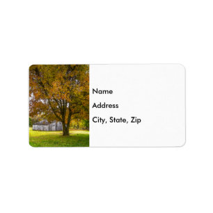 Autumn Tree And Barn Painterly Label