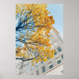 Autumn Tree and Tall Building Poster