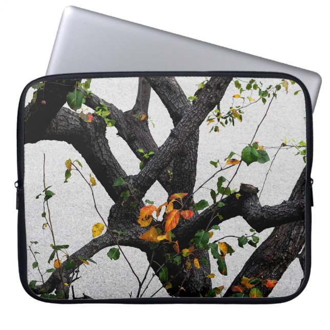 Autumn Tree Branches Laptop Sleeve (Front)