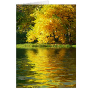 Autumn tree in the forest with reflection