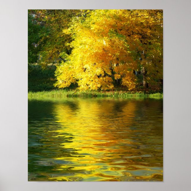 Autumn tree in the forest with reflection poster (Front)