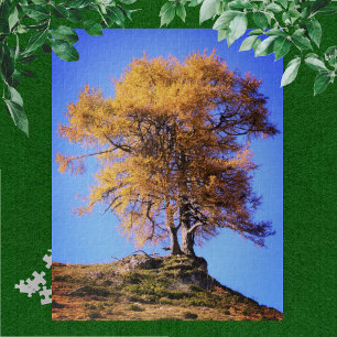 Autumn Tree Jigsaw Puzzle