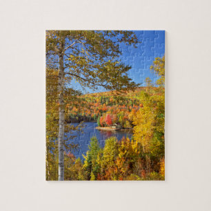 Autumn tree landscape, Maine Jigsaw Puzzle