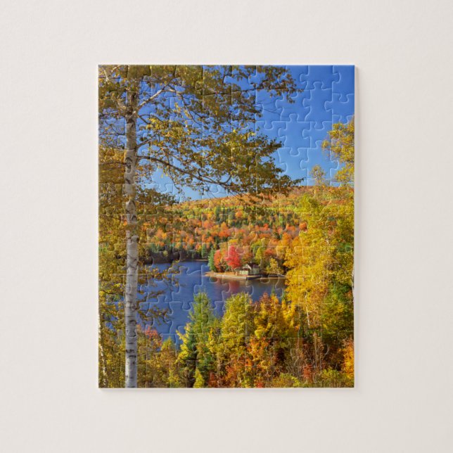 Autumn tree landscape, Maine Jigsaw Puzzle (Vertical)