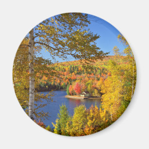 Autumn tree landscape, Maine Magnet